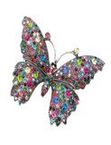 Butterfly Brooch - Multicolor